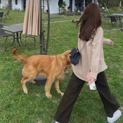 天下第一楼