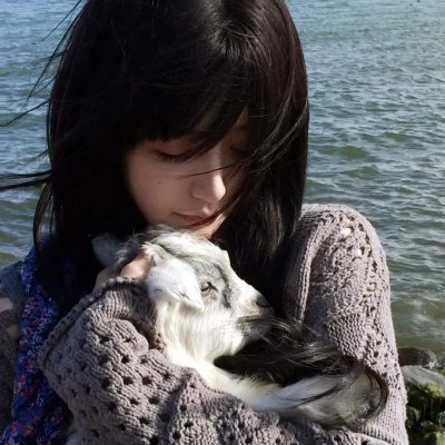 大展猴威3：宝贝智多猩